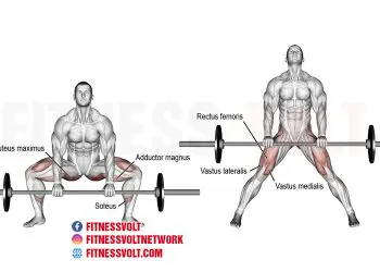 Master the Barbell Sumo Deadlift for Stronger Legs & Back