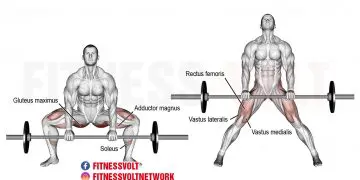 Master the Barbell Sumo Deadlift for Stronger Legs & Back