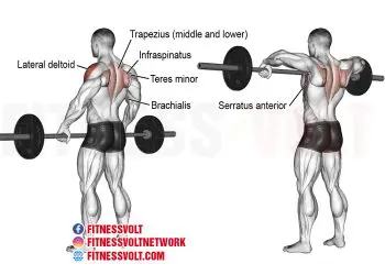 Barbell Upright Row: Build Deltoids & Traps for Strength