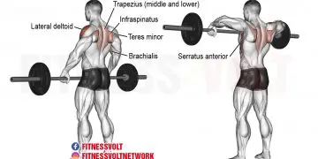 Barbell Upright Row: Build Deltoids & Traps for Strength