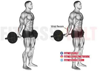 Master the Behind-the-Back Barbell Wrist Curl for Stronger Forearms