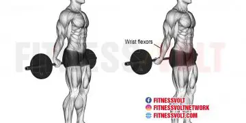 Master the Behind-the-Back Barbell Wrist Curl for Stronger Forearms