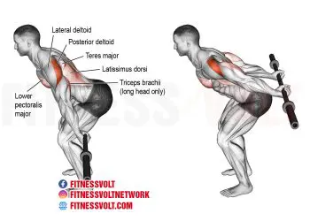 Master the Bent-Over Barbell Reverse Raise for Stronger Shoulders