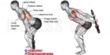 Master the Bent-Over Barbell Reverse Raise for Stronger Shoulders