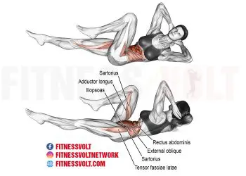 Bicycle Crunch: Target Your Abs and Strengthen Core Muscles