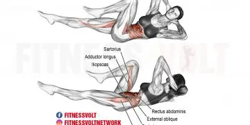 Bicycle Crunch: Target Your Abs and Strengthen Core Muscles