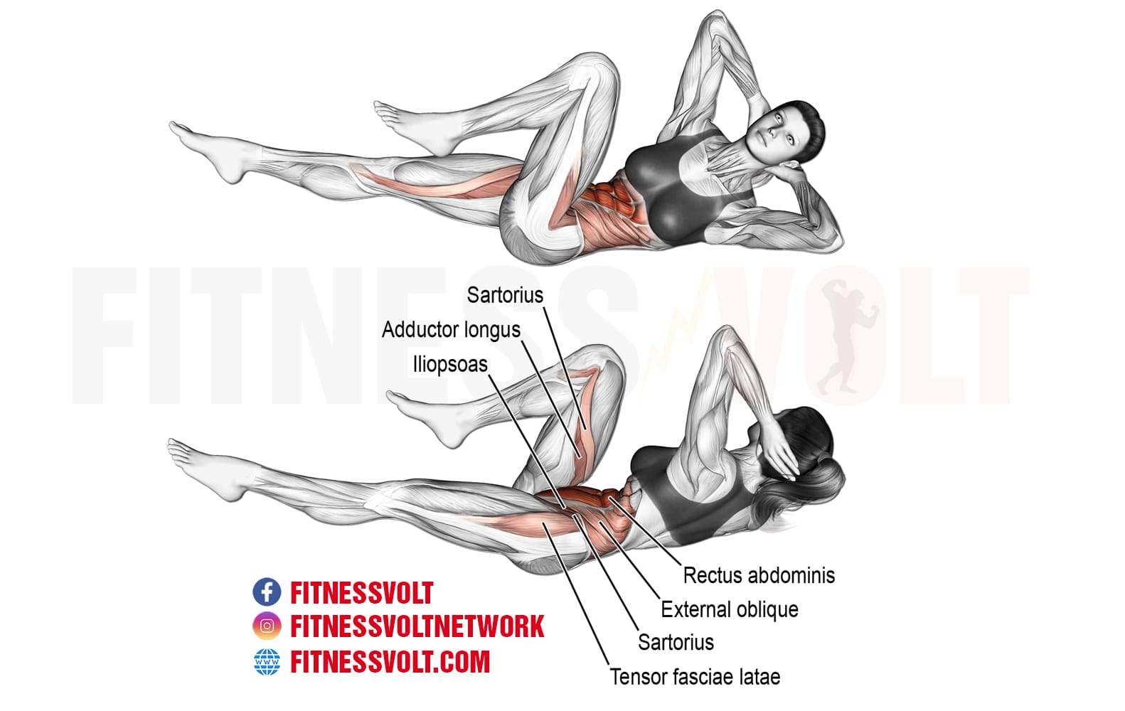 How To Do The Bicycle Crunch Abdominals Fitness Volt