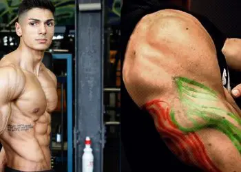 Building Big Triceps Fast