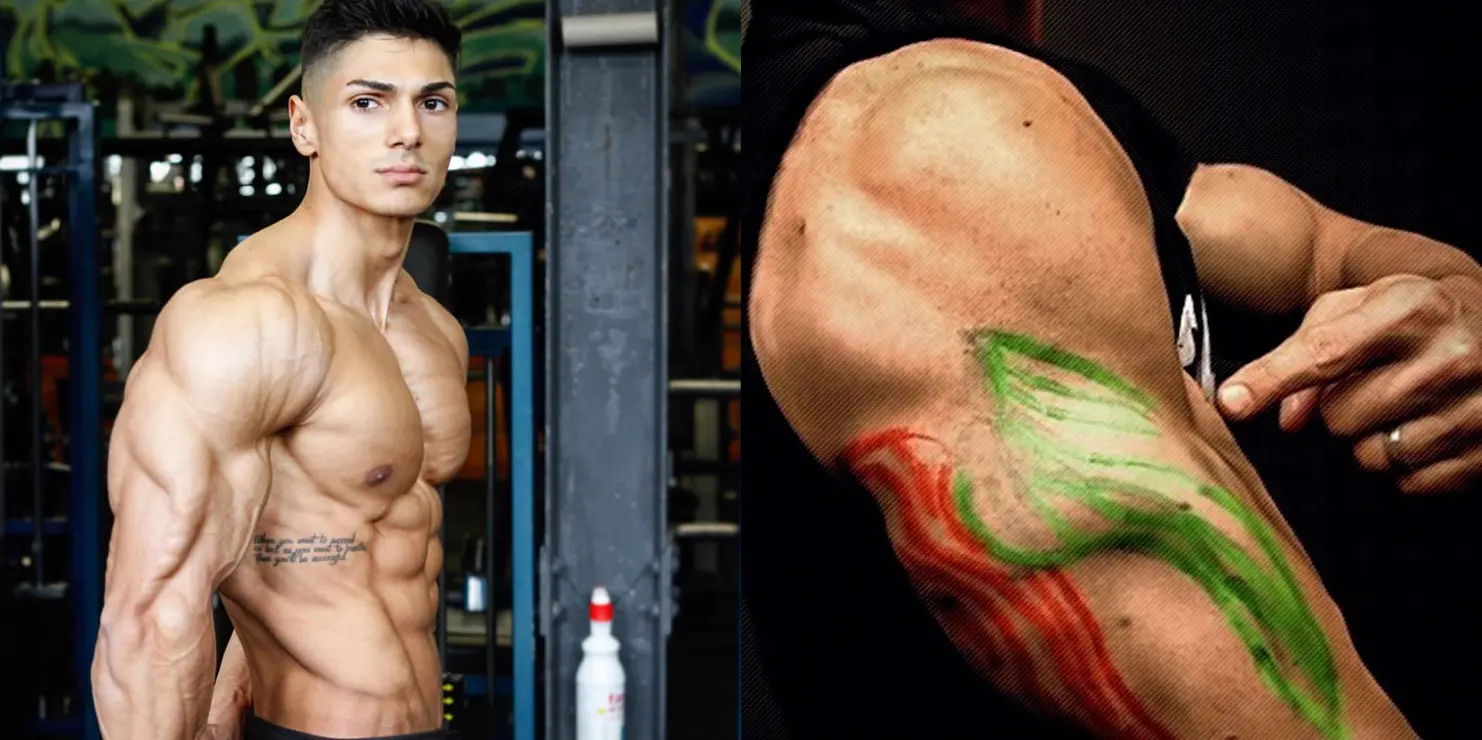 Building Big Triceps Fast