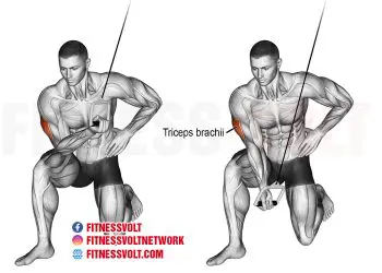 Cable Concentration Tricep Extension: Build Stronger Triceps!