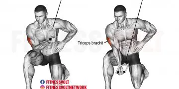 Cable Concentration Tricep Extension: Build Stronger Triceps!