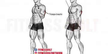 Single arm cable triceps pushdown