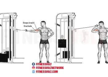 Ultimate Cable Overhead Bicep Curl for Arm Strength