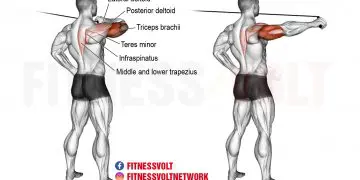 Master the Cable Rear Drive for Stronger Deltoids & Traps!
