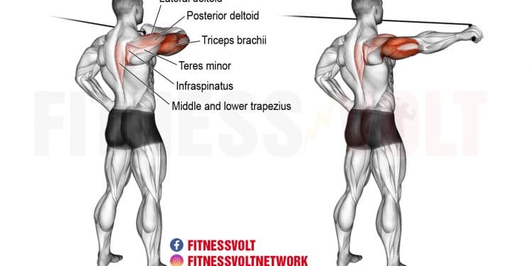 Exercise Guides Archives – Page 19 of 30 – Fitness Volt