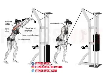 Cable Straight Arm Pulldown: Strengthen Your Lats Effectively!