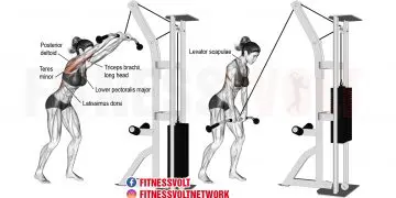 Cable Straight Arm Pulldown: Strengthen Your Lats Effectively!