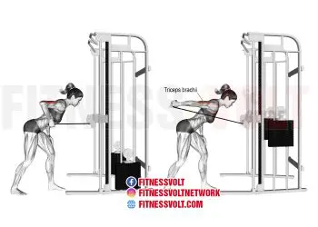 Cable Triceps Kickback