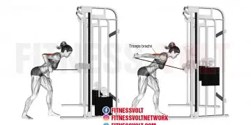 Cable Triceps Kickback