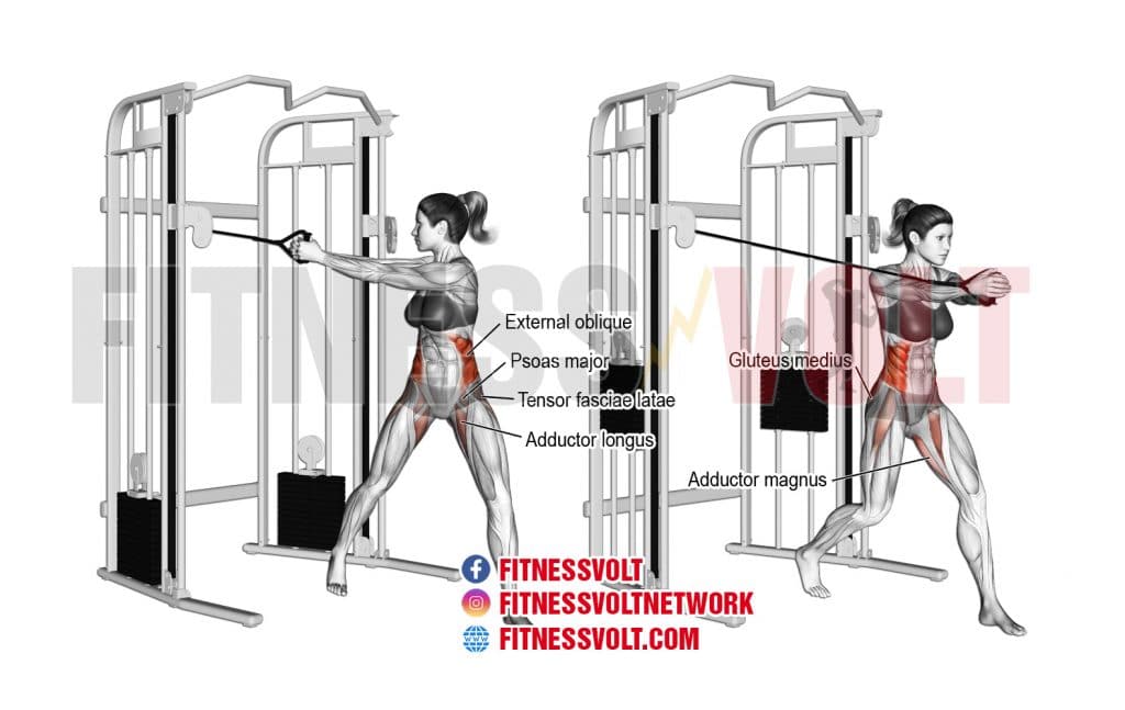 Floor Wipers Guide Muscles Worked, HowTo, Benefits, and Alternatives