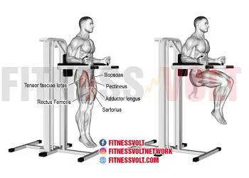 Captain’s Chair Leg Raise: Target Your Core Muscles Effectively