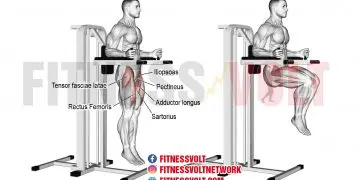 Captain’s Chair Leg Raise: Target Your Core Muscles Effectively