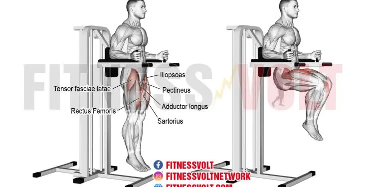 Captain’s Chair Leg Raise: Target Your Core Muscles Effectively