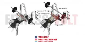 Close Grip Barbell Bench Press