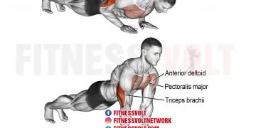 Close-Grip Push-Up: Target Triceps, Chest & Core Strength
