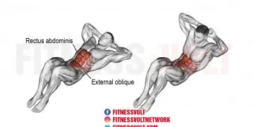 Crunch Exercise: Target Your Abs, Obliques & Core Strength