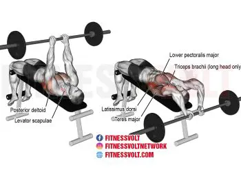 Decline Bent-Arm Barbell Pullover: Target Your Upper Body