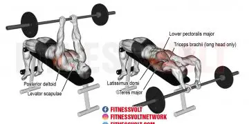 Decline Bent-Arm Barbell Pullover: Target Your Upper Body