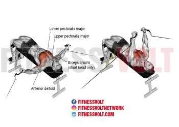 Master the Decline Cable Fly for Chest Growth & Strength