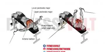 Master the Decline Cable Fly for Chest Growth & Strength