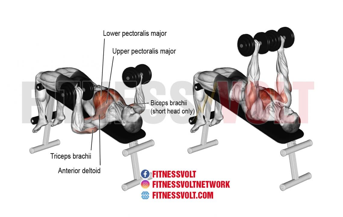 How To Do Decline Dumbbell Bench Press Muscles Worked Benefits And Variations Fitness Volt