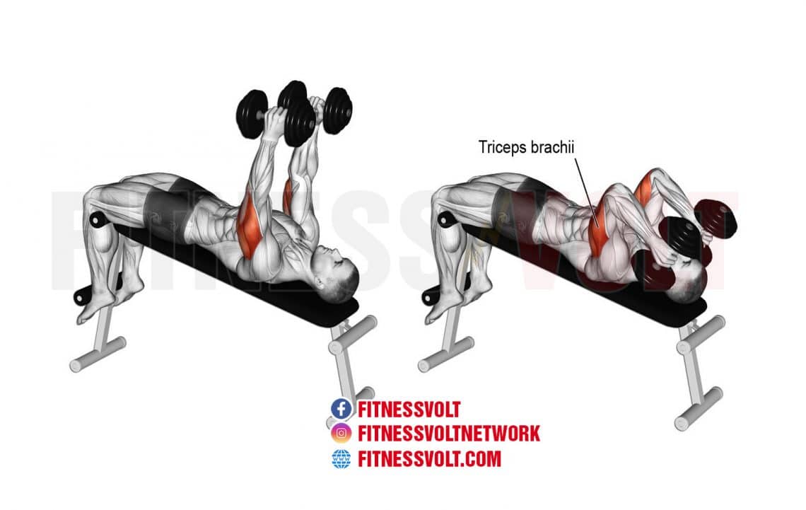 30 Minute Tricep Exercises With Dumbbells Reddit for Burn Fat fast