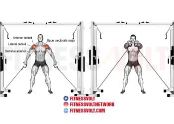 Double Cable Front Raise: Strengthen Your Shoulders & Upper Body
