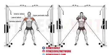 Double Cable Front Raise: Strengthen Your Shoulders & Upper Body