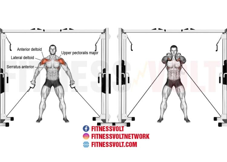 High Cable Crossover (Chest) Fitness Volt