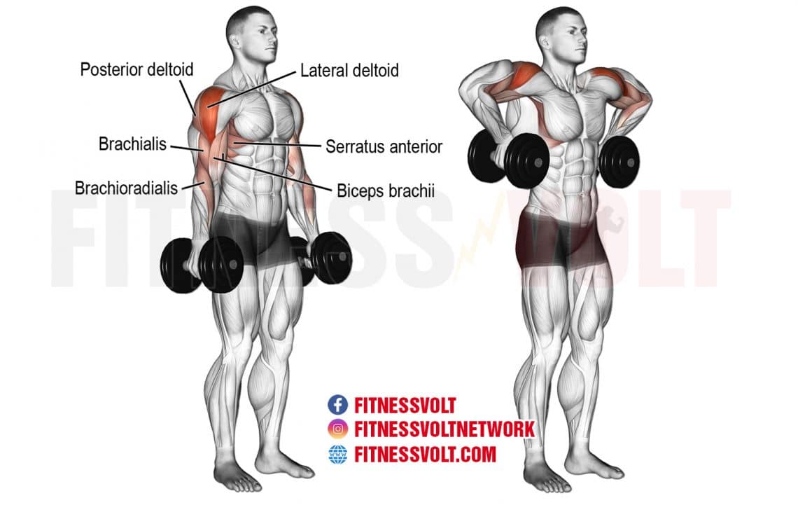 Best Side Delt Exercises For Broader More Powerful Shoulders Fitness Volt 