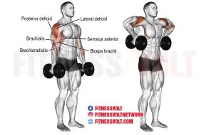 Dumbbell Armpit Row