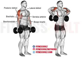 Dumbbell Armpit Row