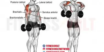 Dumbbell Armpit Row
