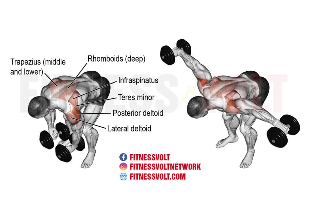  Shoulder Workout With Dumbbells Reddit for Build Muscle