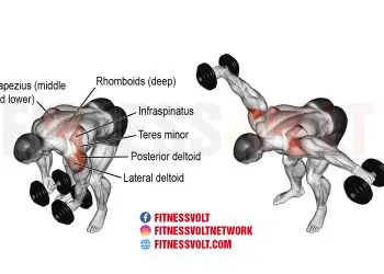 Dumbbell Bent-Over Lateral Raise: Target Your Shoulder Muscles
