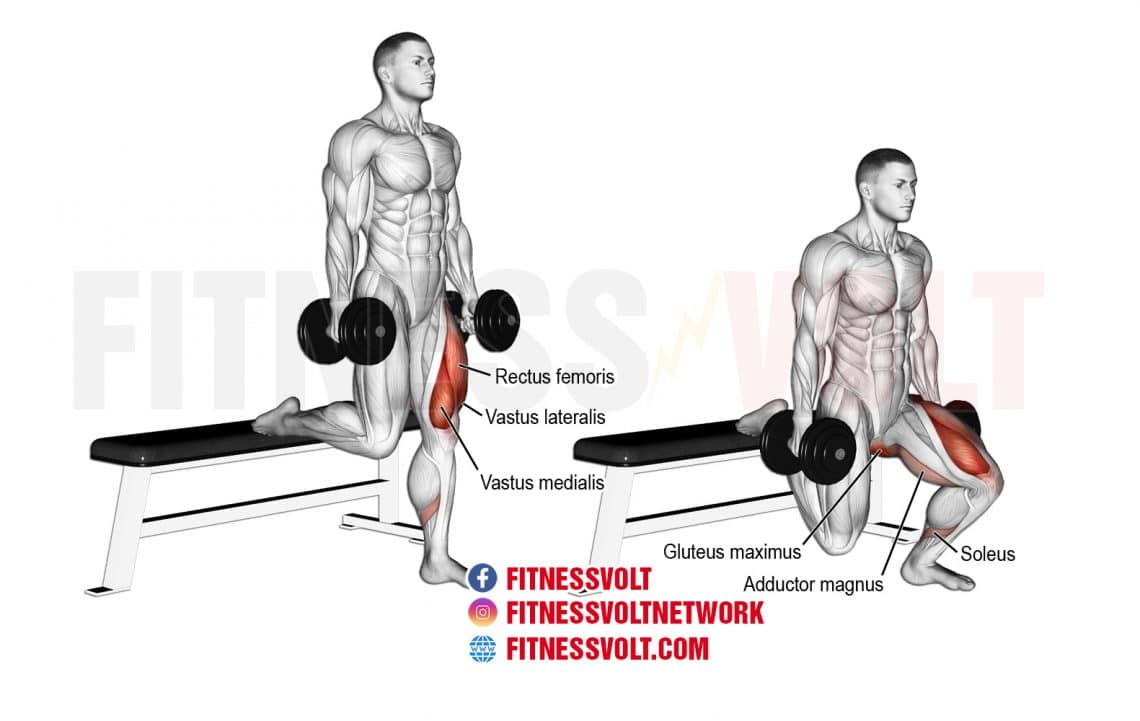 The Complete Guide To Bulgarian Split Squats Fitness Volt