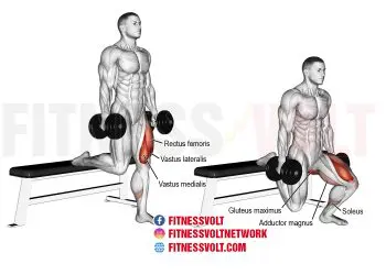 Bulgarian Split Squats