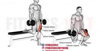 Bulgarian Split Squats