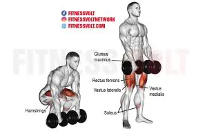 Dumbbell Deadlift