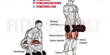 Dumbbell Deadlift